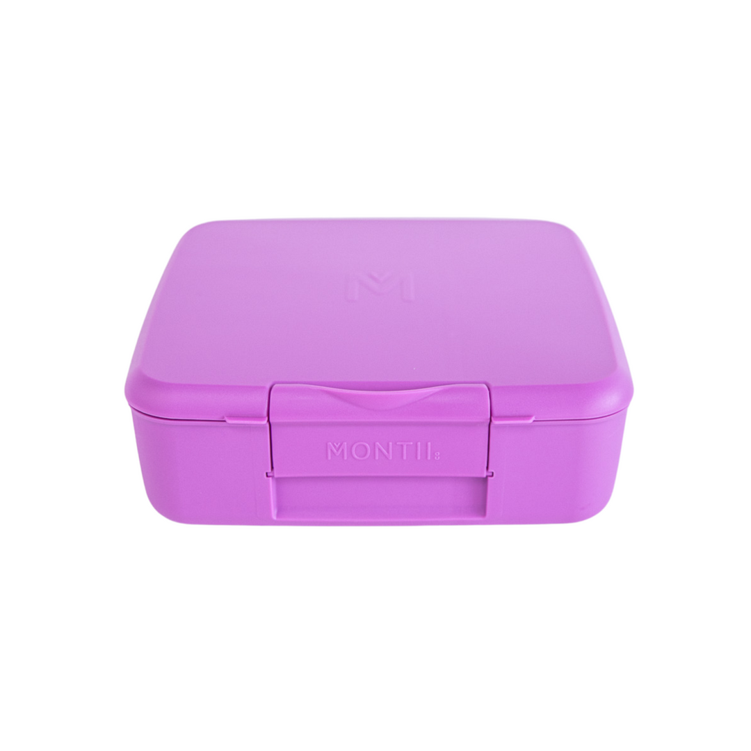 Montiico Bento Feast Lunch Box Fuchsia