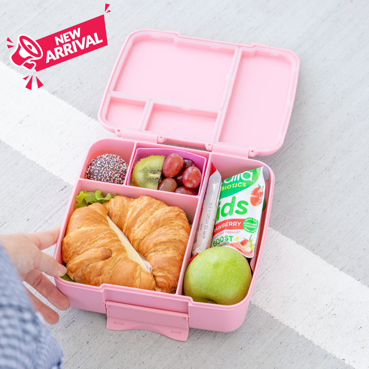 Montiico Bento Feast Lunch Box