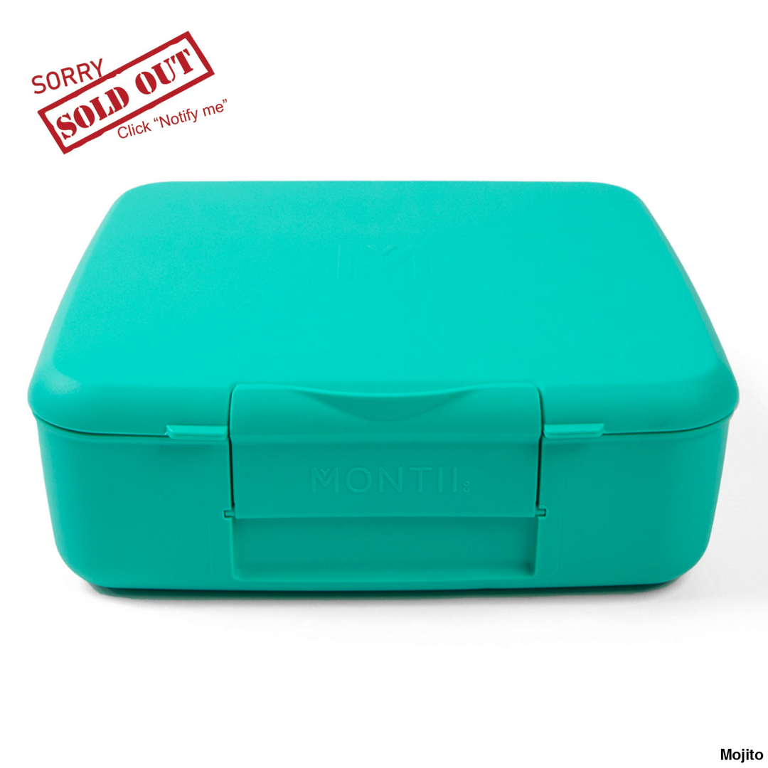 Montiico Bento Feast Lunch Box Mojito