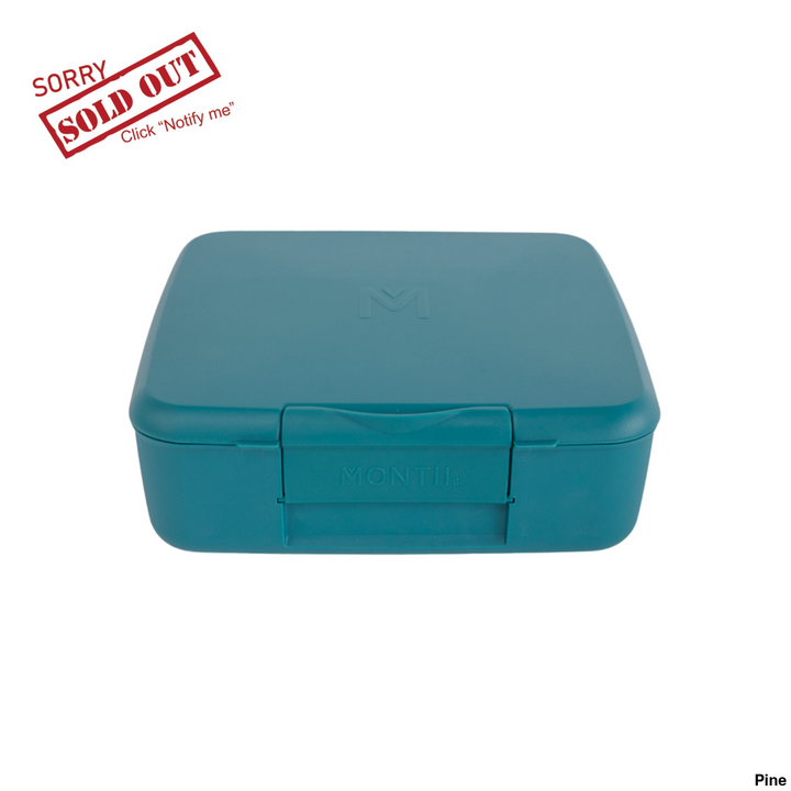Montiico Bento Feast Lunch Box Pine