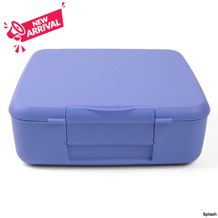 Montiico Bento Feast Lunch Box Splash