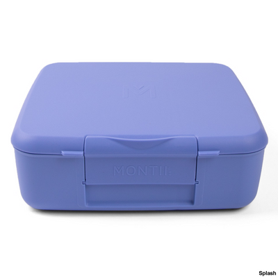 Montiico Bento Feast Lunch Box Splash
