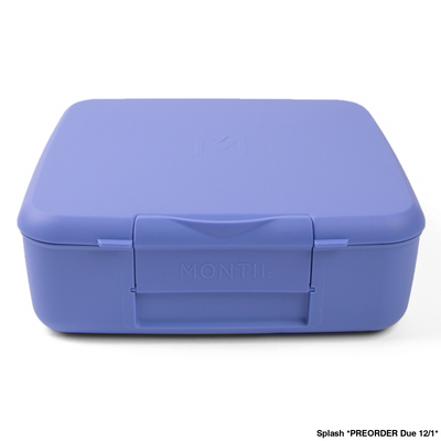 Montiico Bento Feast Lunch Box Splash