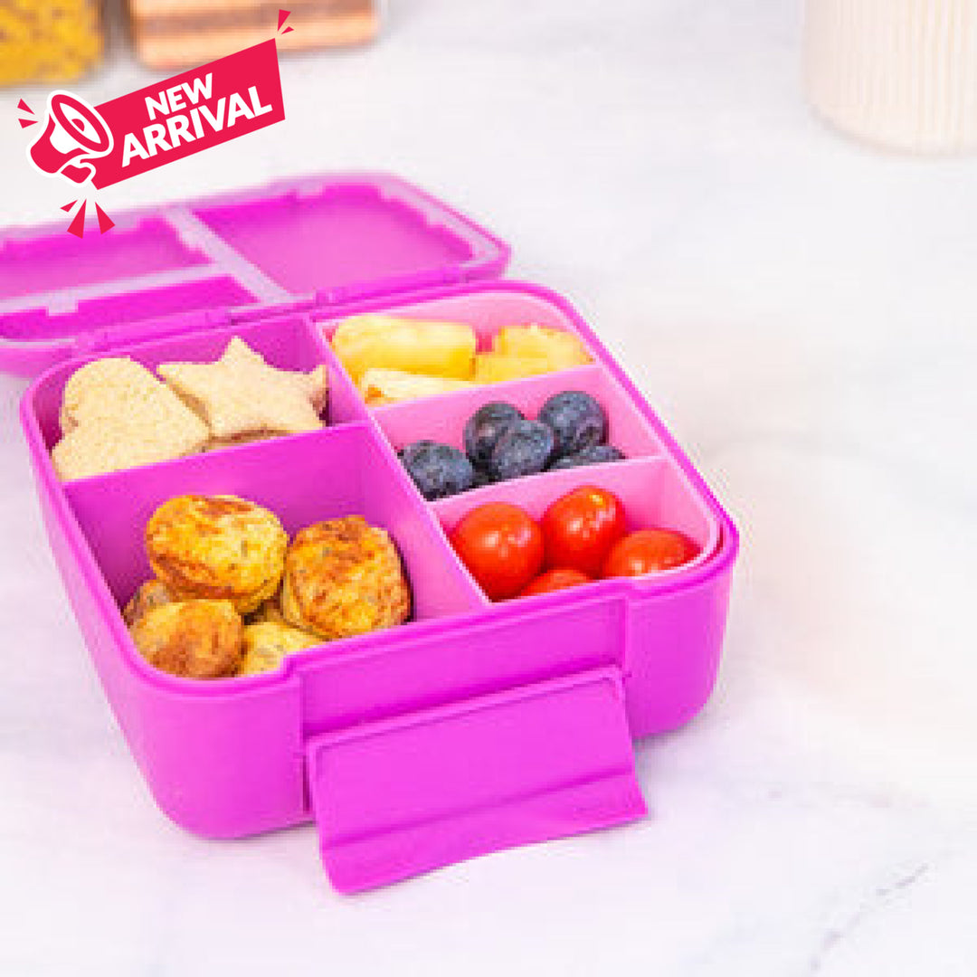 Montiico Bite Lunch Box