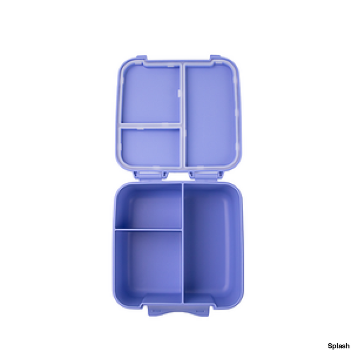 Montiico Bite Lunch Box Splash