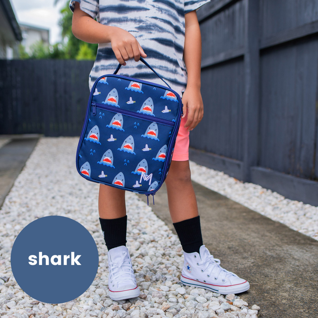 Large insulated discount lunch bag