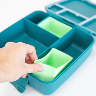 Montiico Feast Bento Cups