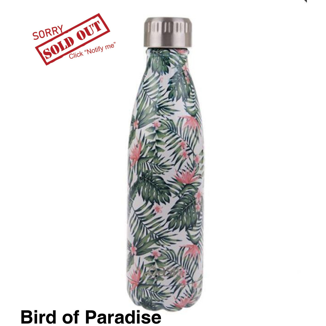 Oasis 500Ml Stainless Steel Insulated Bottle Bird Of Paradise