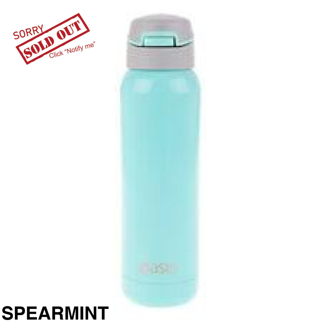 Oasis Stainless Steel Insulated Bottle With In-Built Straw 500Ml Spearmint