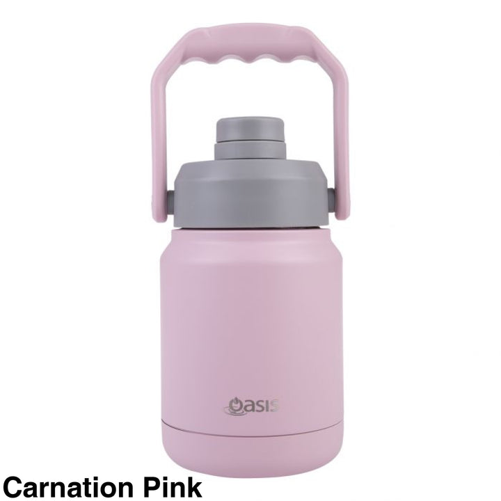 Oasis Stainless Steel Mini Jug W/ Handle 1.2L Carnation Pink