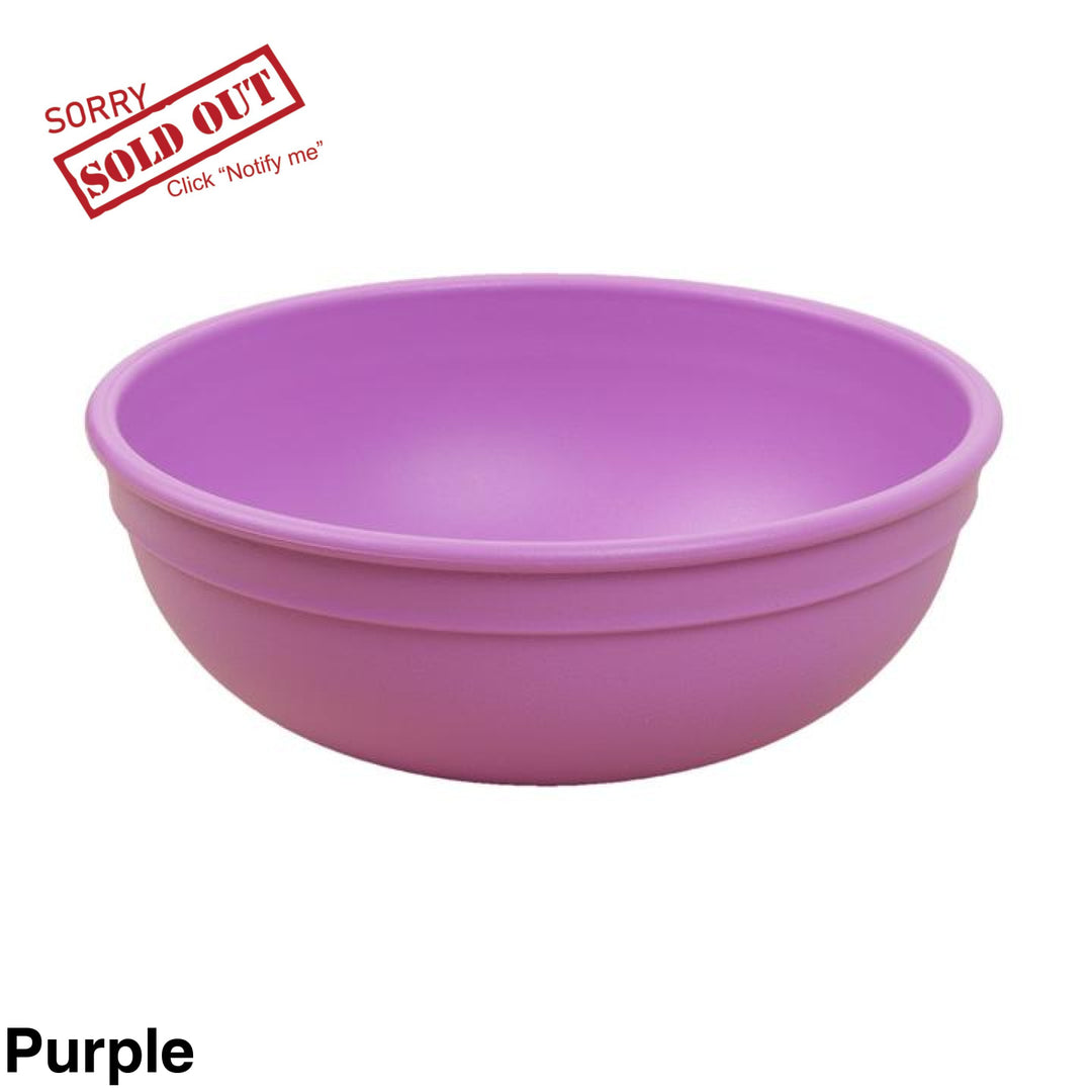 Replay Bowl Large Purple