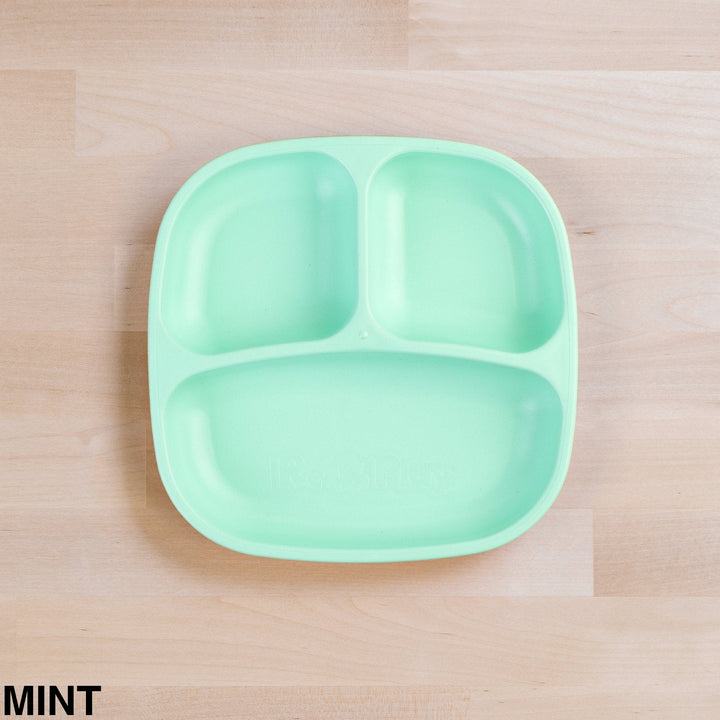 Replay Divided Plate Mint