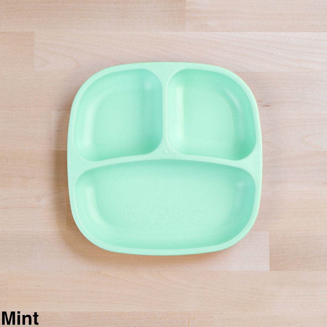 Replay Divided Plate Mint