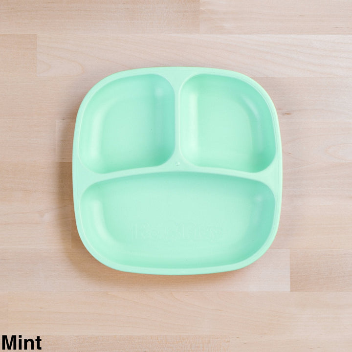 Replay Divided Plate Mint