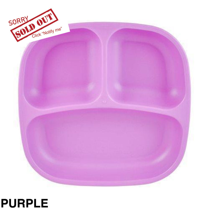 Replay Divided Plate Purple