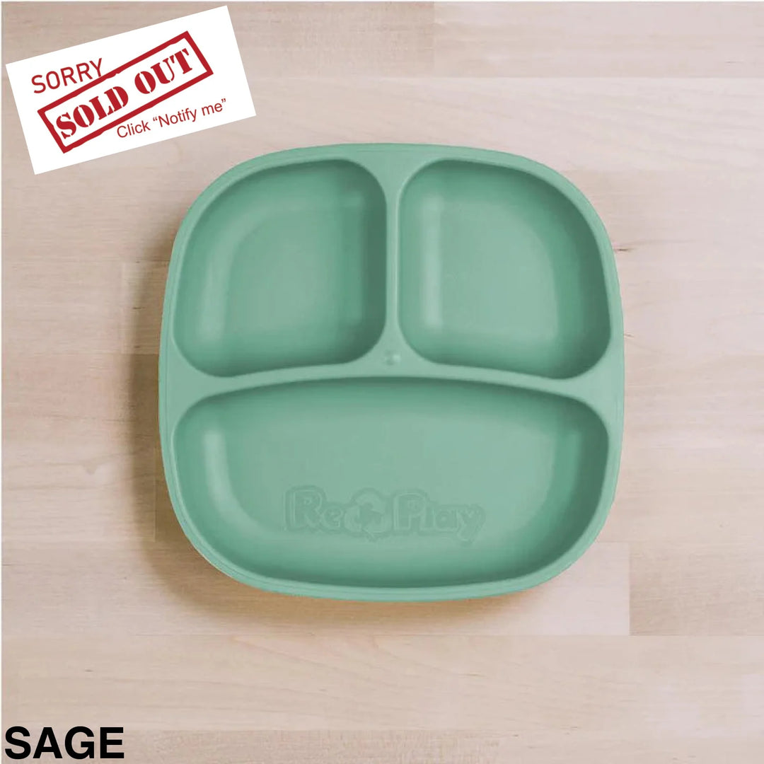 Replay Divided Plate Sage