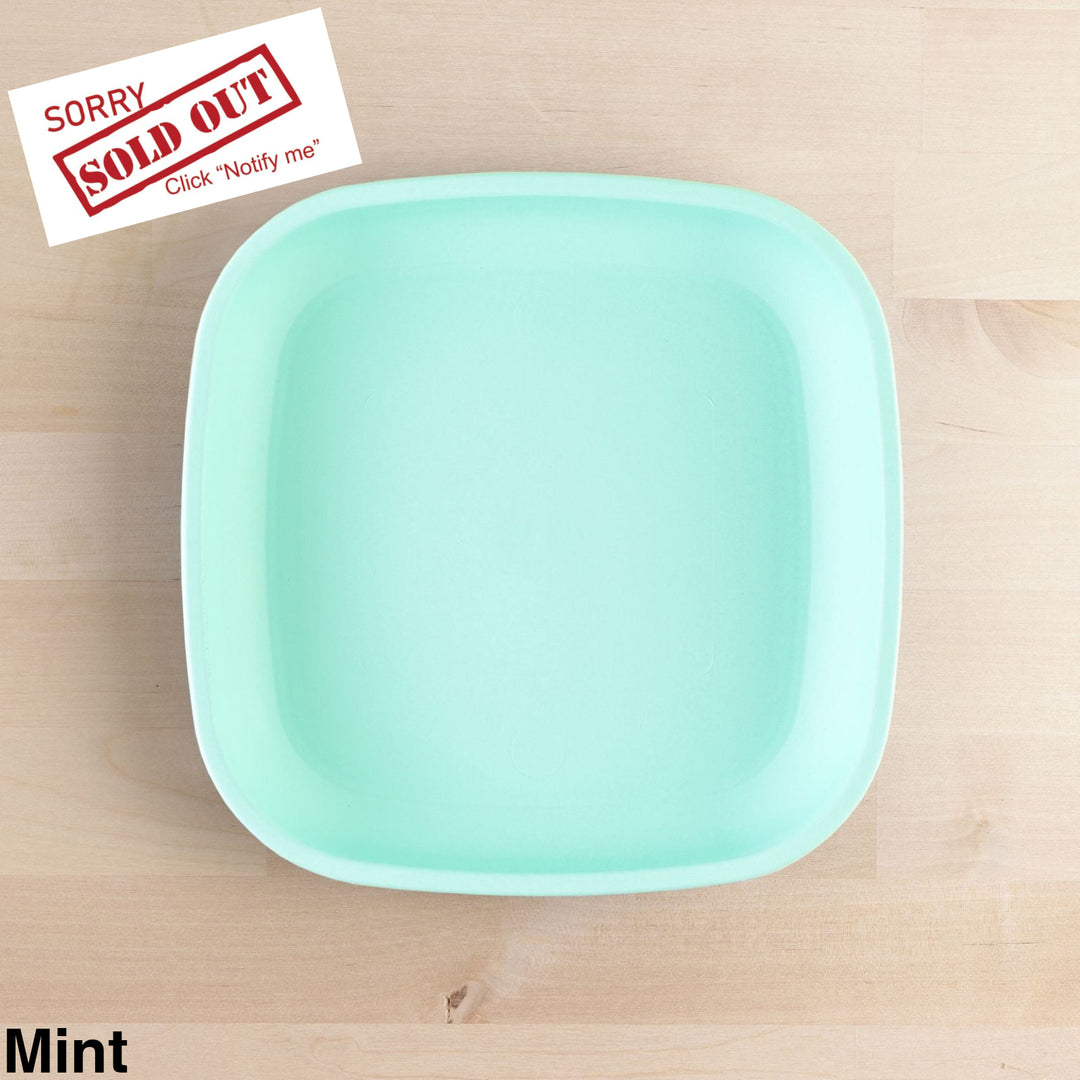 Replay Large Flat Plate Mint