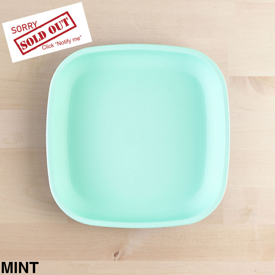 Replay Large Flat Plate Mint