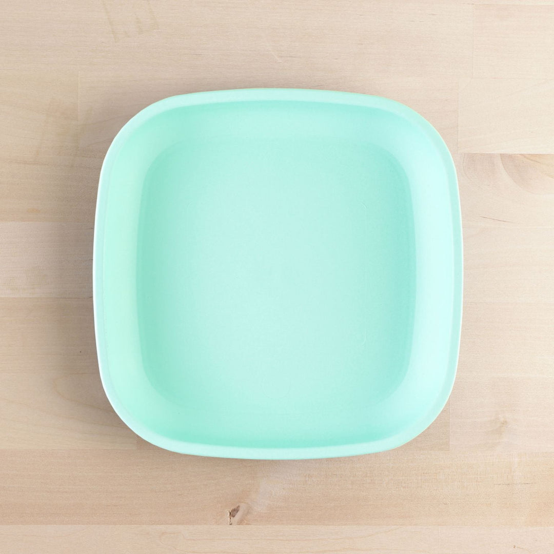 Replay Large Flat Plate Mint