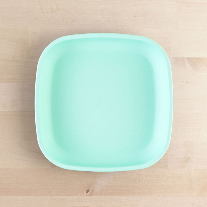Replay Large Flat Plate Mint