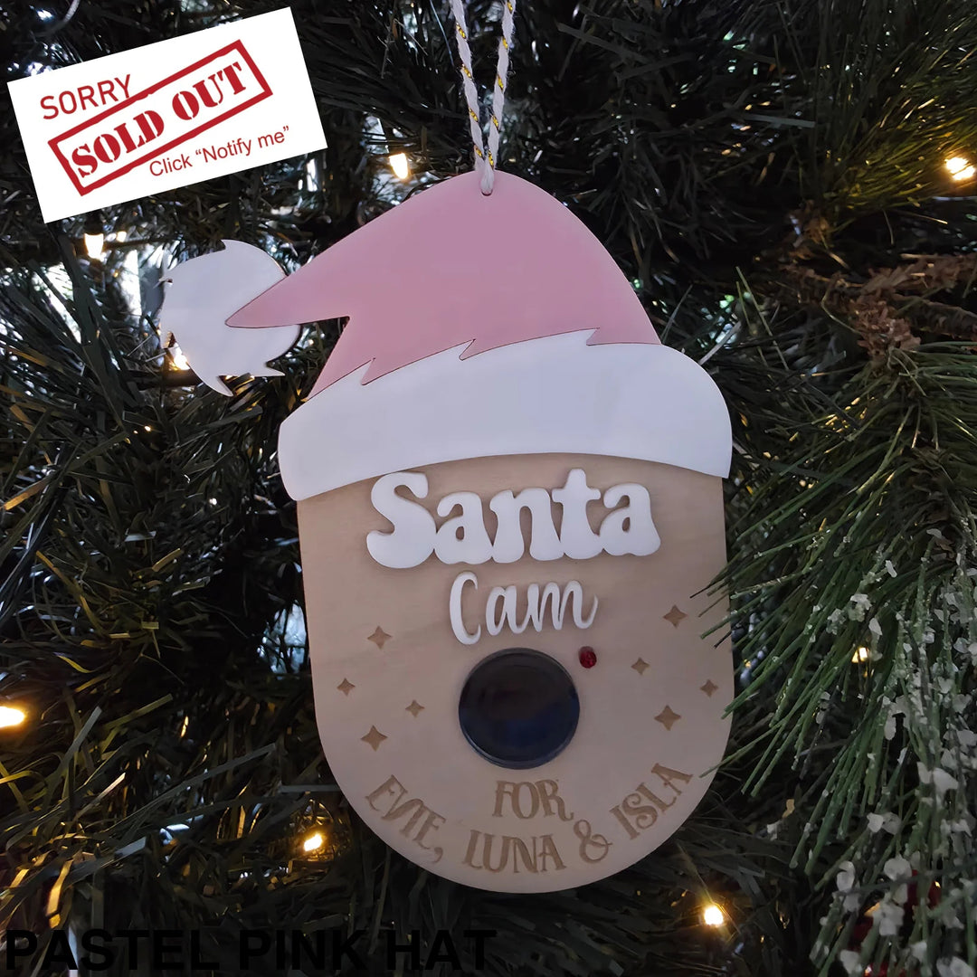 Santa Cam Pastel Pink Hat