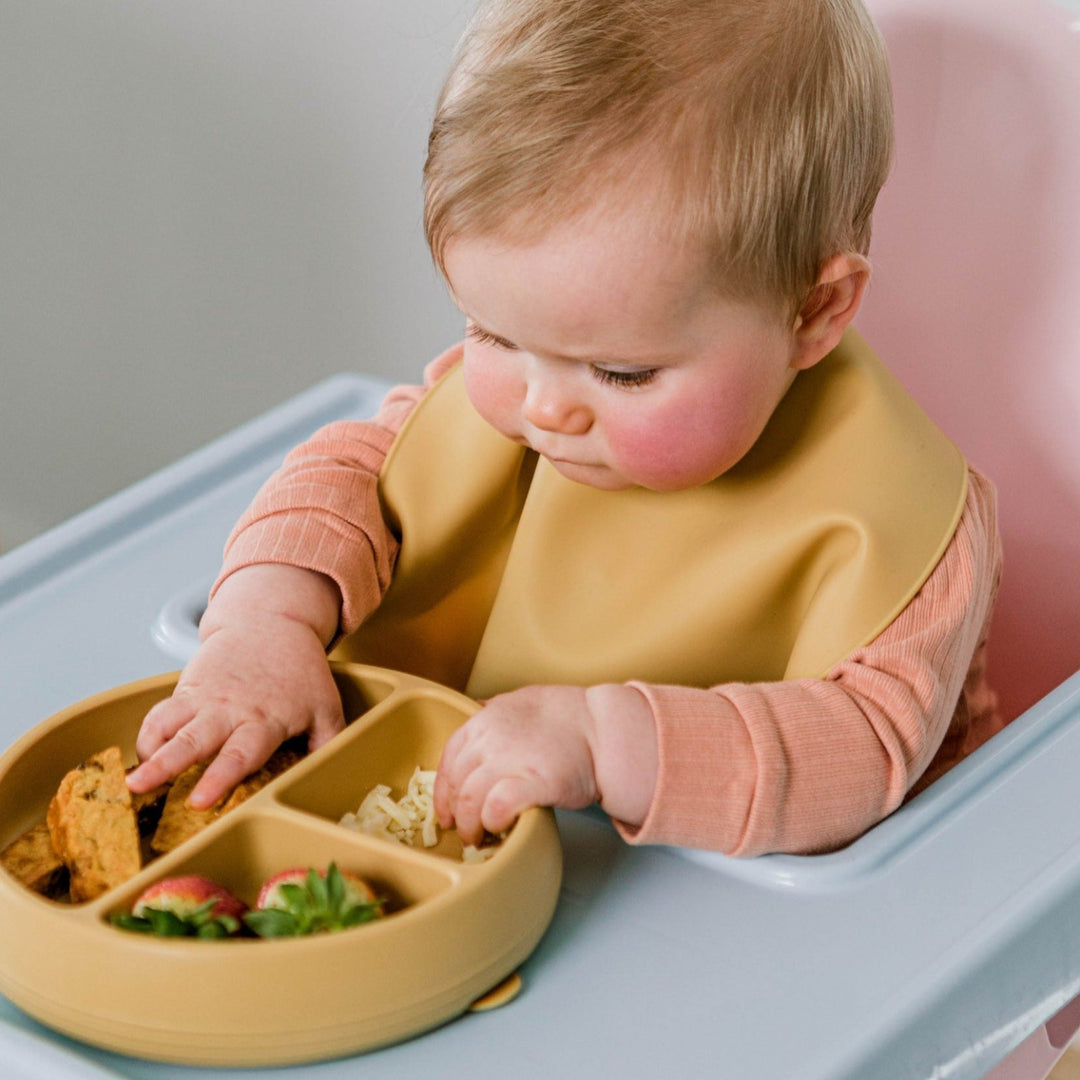 Starting Solids Suckie Scoop Divided Plate