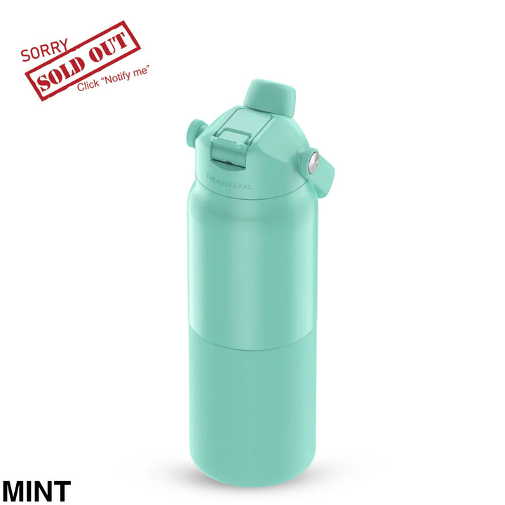 The Aussie Pal Cooler Pal Insulated Bottle 1L Mint