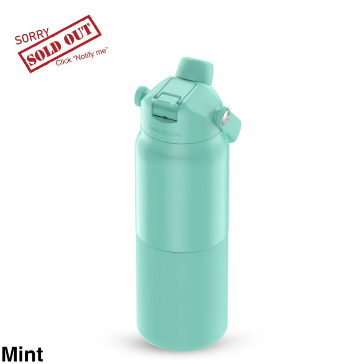 The Aussie Pal Cooler Pal Insulated Bottle 1L Mint