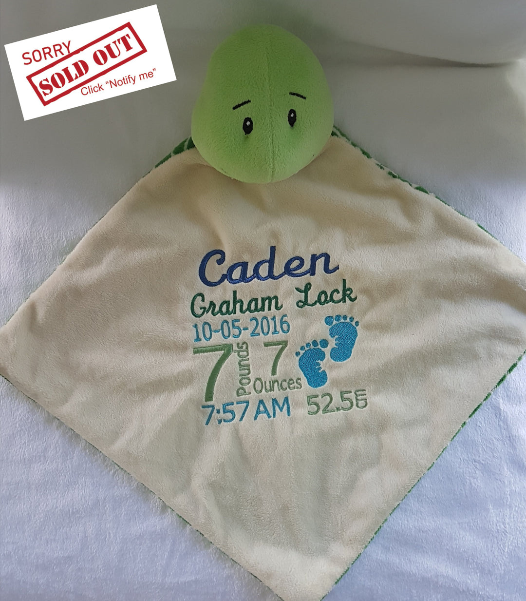 Turtle Comforter